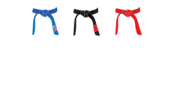 Tavarez Martial Arts
